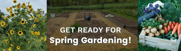 Get Ready for Spring Gardening