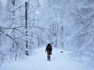 Plenitude_Of_A_Winter_Stroll