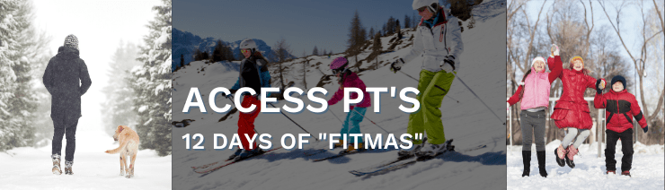 12 days of fitmas