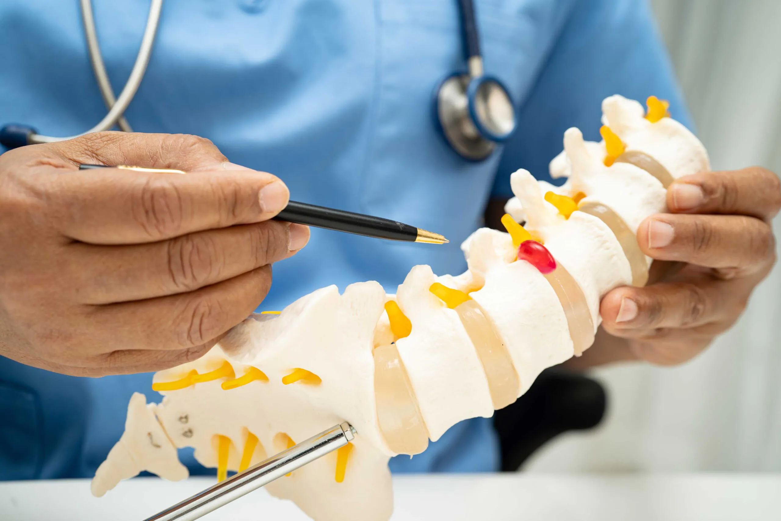 a model of a spine being displayed and pointed at by a doctor to simulate pain